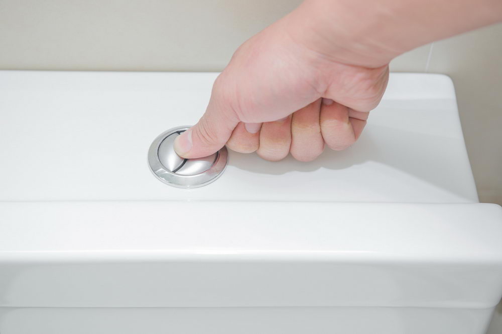 Pushing a Button to Flush a Closestool Dual Flush Toilet All You Need to Know