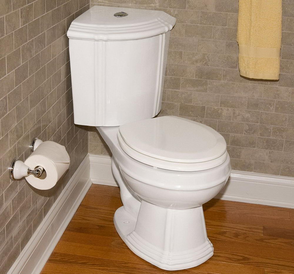 Superior Dual Flush Toilets Corner Toilet Neoteric And Stylish