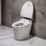 Eco Friendly High Efficiency Low Flush Ceramic Toilet