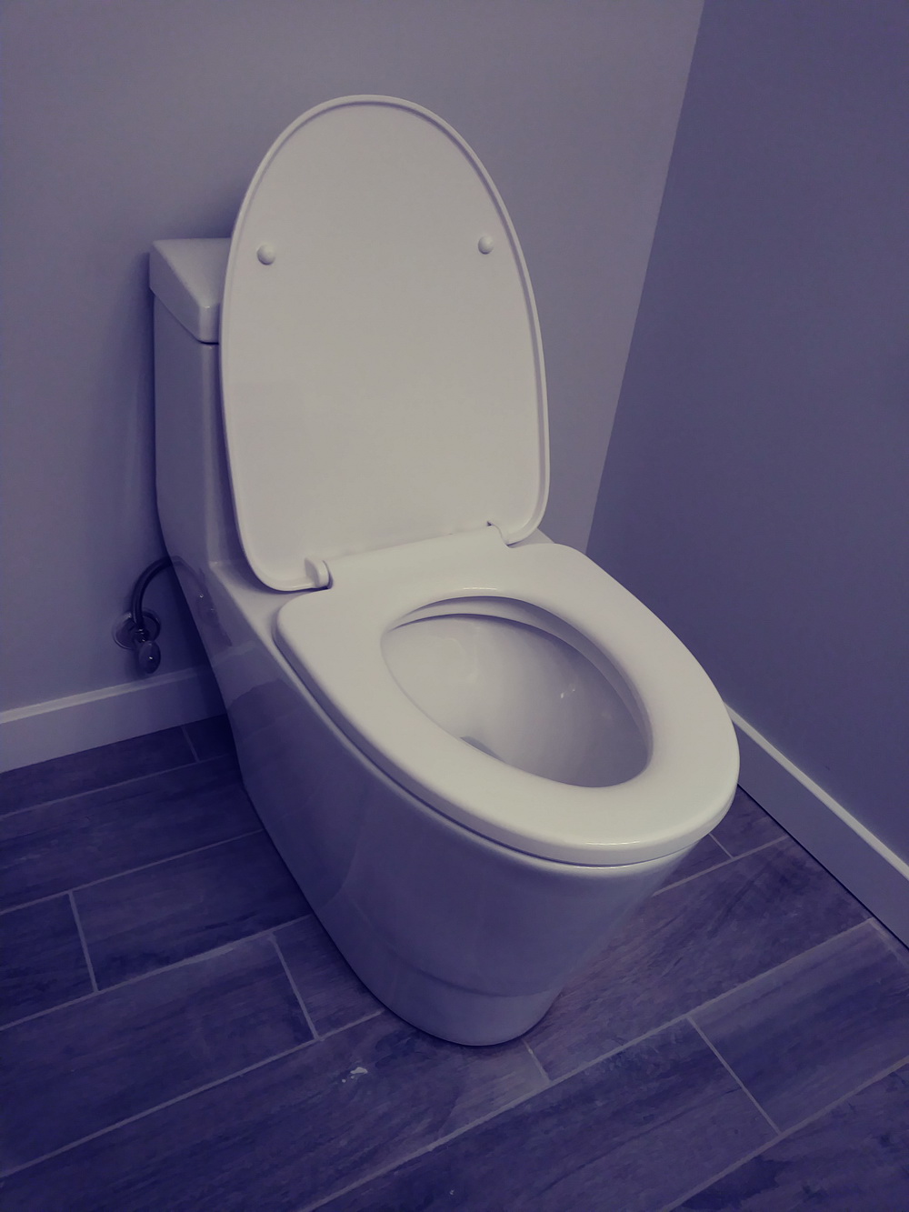 Off White Subdued Toilet Seat