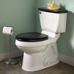 black wood toilet seat