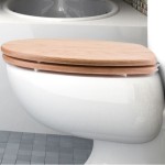 elongated oak wood toilet seat