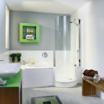 small corner bathtubs with shower