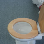 wooden white toilet seat