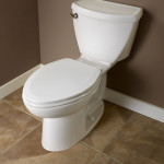 best elongated toilet seat