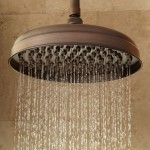 bronze rain shower head