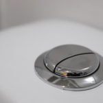Dual Flush Button Toilet
