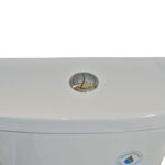 Smart Dual Flush Toilet