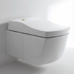 Cheap Tankless Toilet for Home