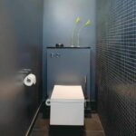 Narrow Toilet Color Ideas