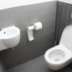 Wall Hung Dual Flush Toilet