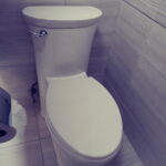 Best Toilet Seat Off White