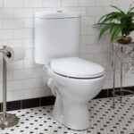 Dual Flush White Toilet