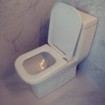 Off White Clean Toilet Seat