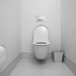 Off White Toilet Seat Elongated